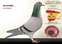 BE 24-6190696